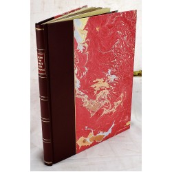 The Gray Substance of the Medulla Oblongata and Trapezium